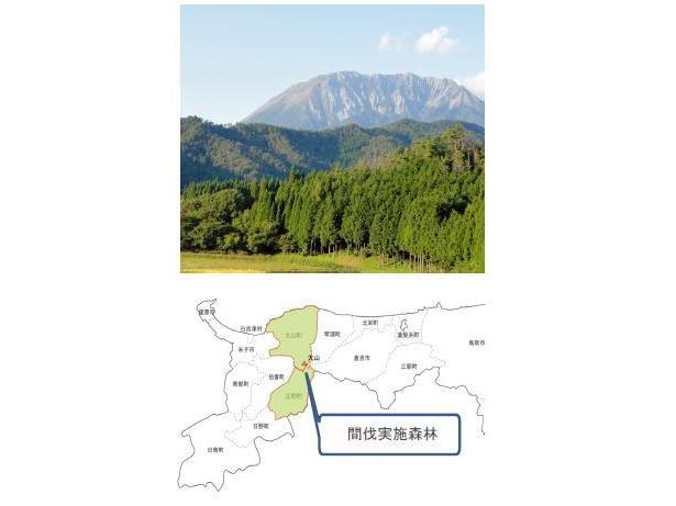 鳥取県造林公社における間伐促進型プロジェクト ～大山の森　森林吸収プロジェクト～